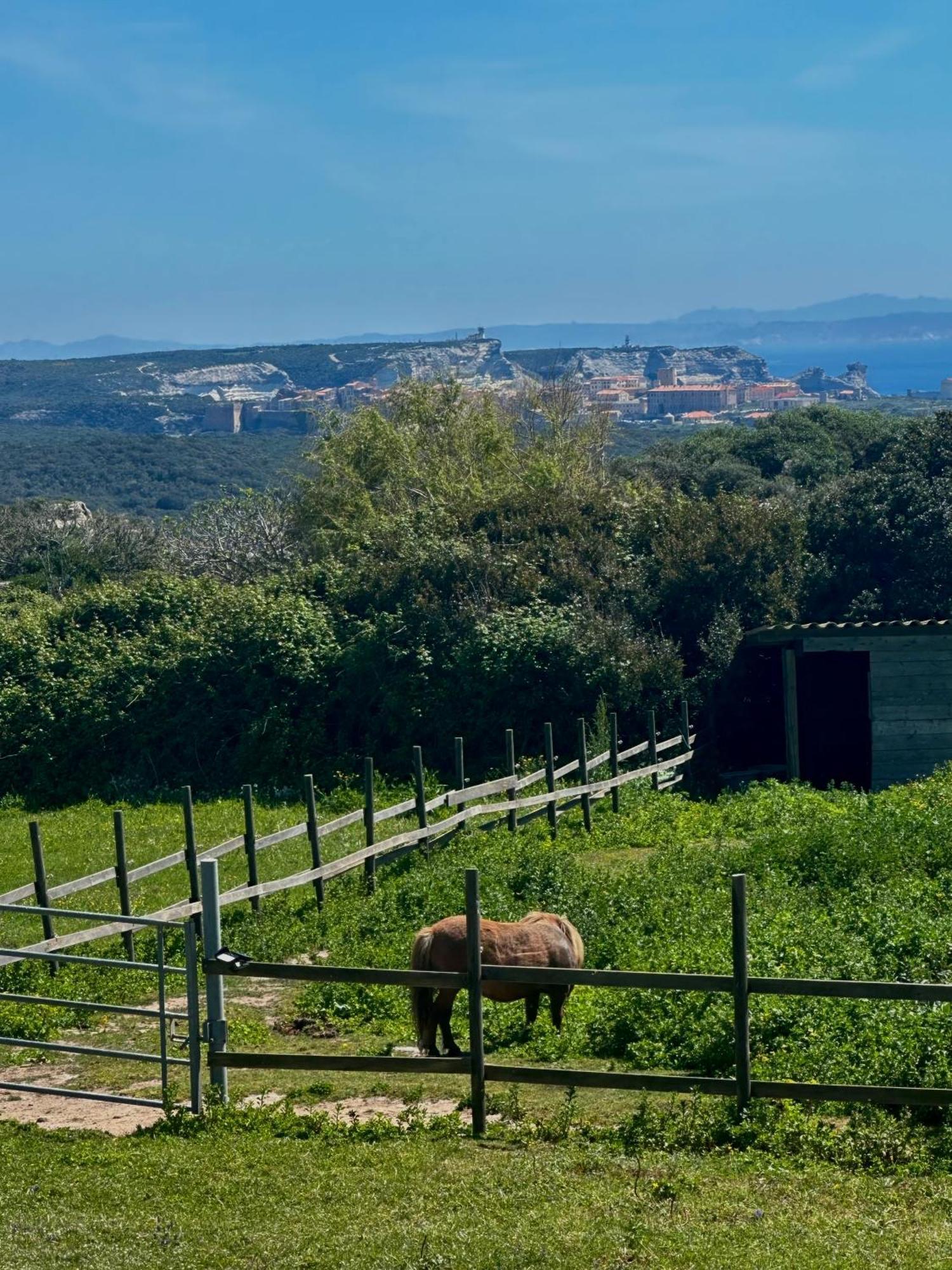 A Santa Trinita Villa Bonifacio  Eksteriør billede